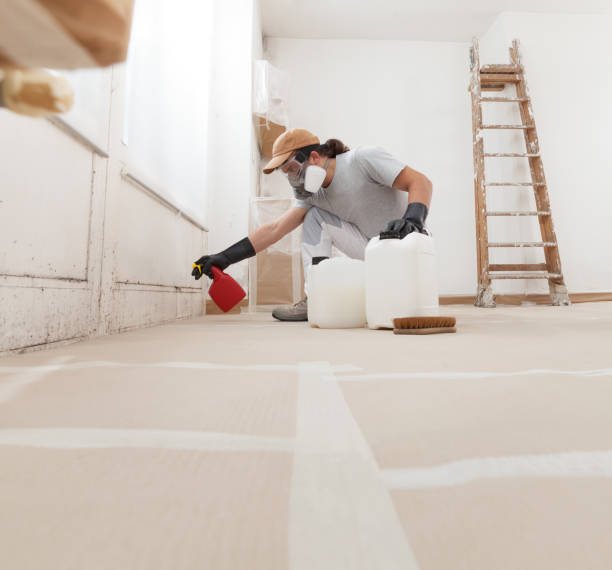 Best Mold Removal for HVAC Installations  in Prairie View, TX